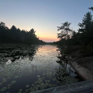 Meet your Posher, Rowan